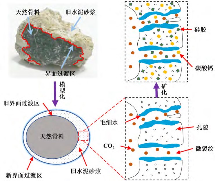 再生骨料矿化原理示意图.jpg
